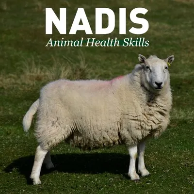 nadis.org.uk's icon