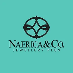 naerica.com's icon