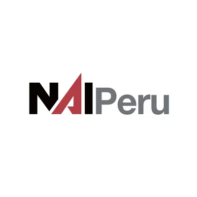 naiperu.com's icon