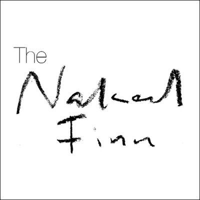 nakedfinn.com's icon