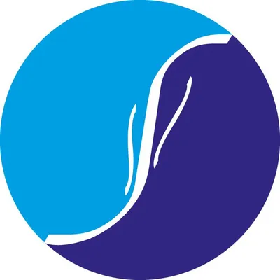 nakladaslap.com's icon