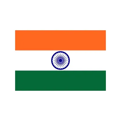 NALSA's icon