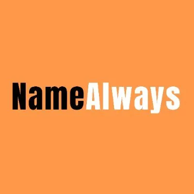 namealways.com's icon
