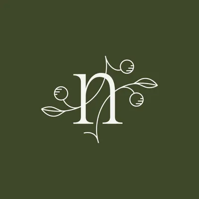 namesakehome.com's icon