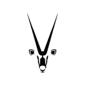 namibiacriticalmetals.com's icon