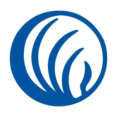 namivirginia.org's icon