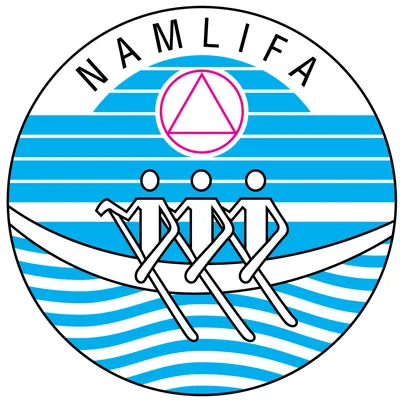namlifa.org.my's icon