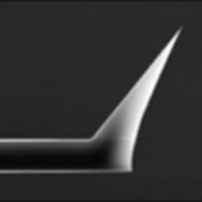 nanosensors.com's icon