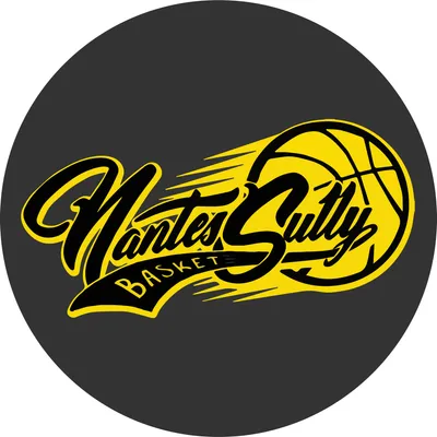 nantes-sully-basket.fr's icon