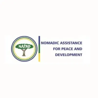 napad-int.org's icon