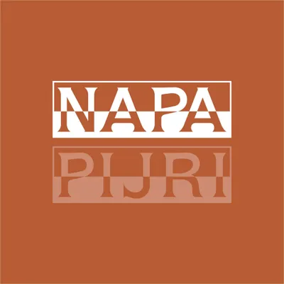 Napapijri's icon