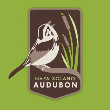 napasolanobirds.org's icon