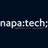 napatech.com's icon