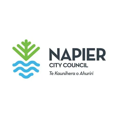 napier.govt.nz's icon