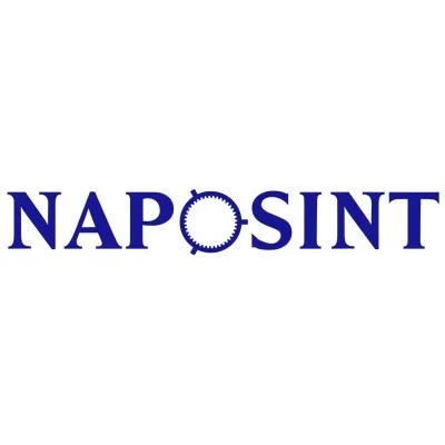 naposint.ro's icon