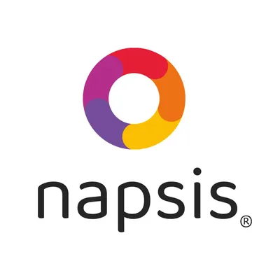 napsis.com's icon