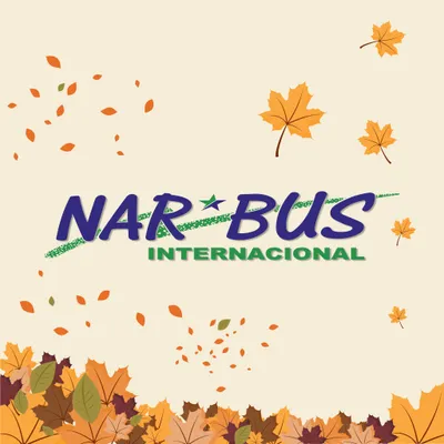narbus.cl's icon
