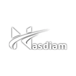 Sarl Nasdiam's icon