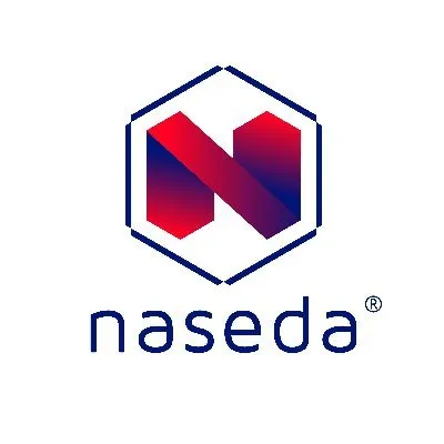 naseda.com.mx's icon