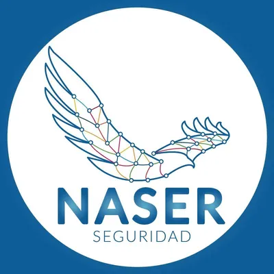 naserseguridad.com's icon