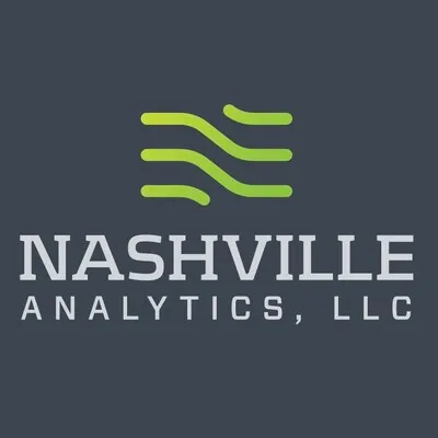 nashvilleanalytics.com's icon