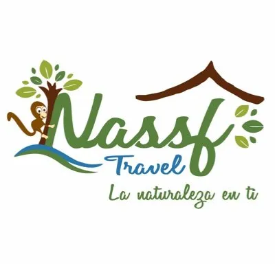 nassftravel.com's icon