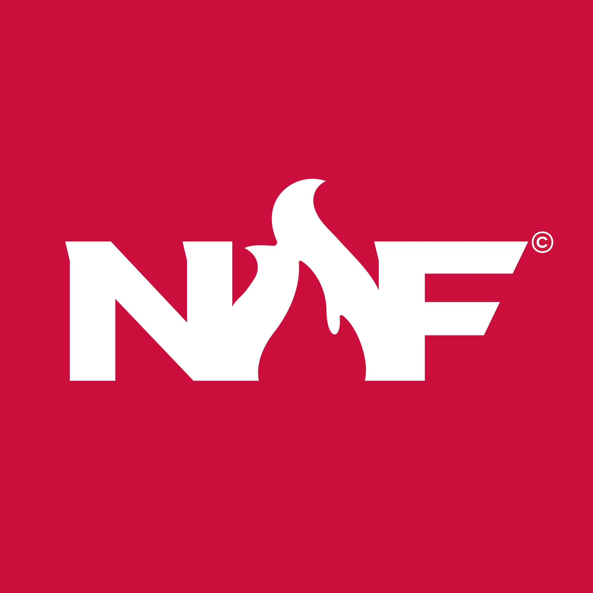 Fundacja Nations On Fire Stiftung