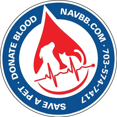 navbb.com's icon