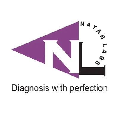 nayablabs.com's icon