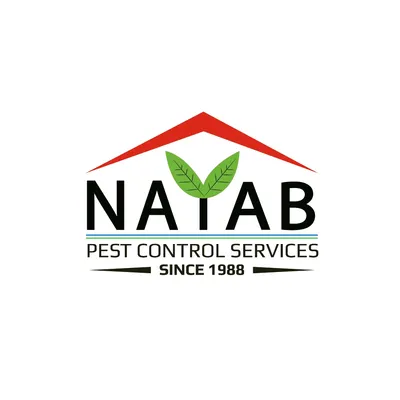 nayabpestcontrol.com's icon