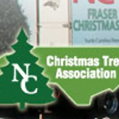 ncchristmastrees.com's icon