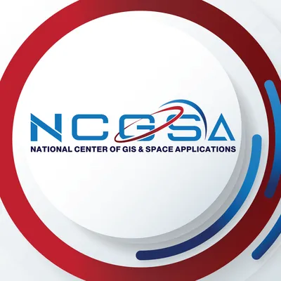 ncgsa.org.pk's icon