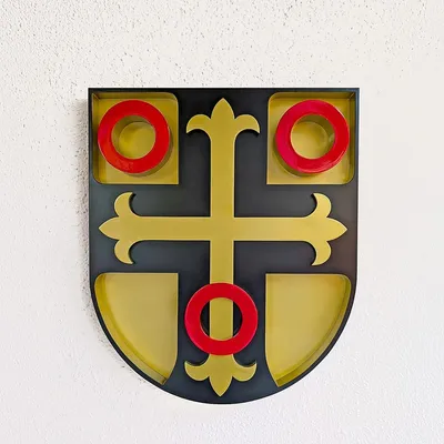 neckarsulm.de's icon