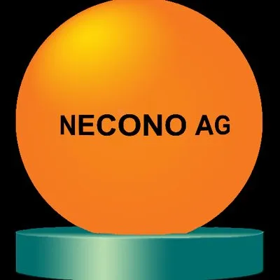 neconoag.com's icon