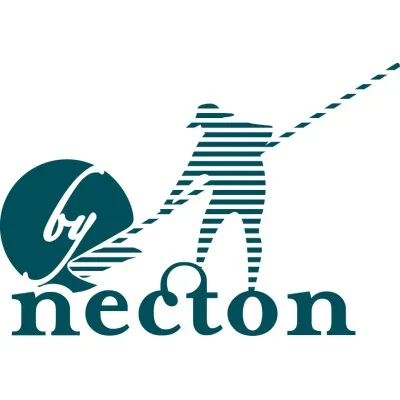 necton.pt's icon