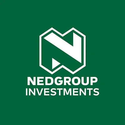 nedgroupinvestments.com's icon