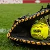 nefastpitch.com's icon