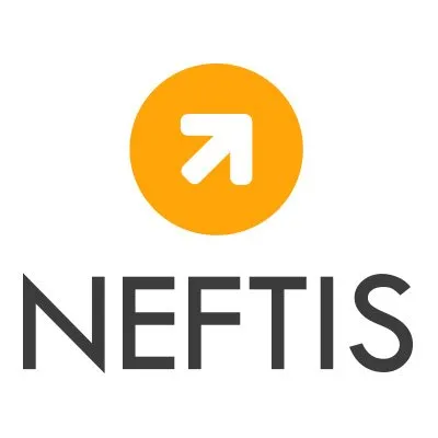 neftis.fr's icon