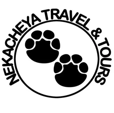 nekatours.com's icon