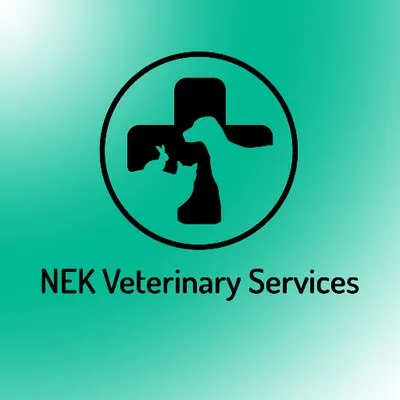 nekvets.com's icon