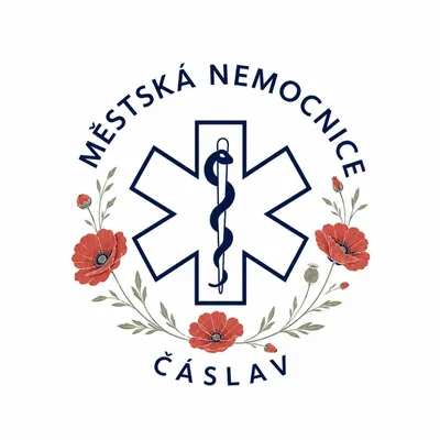 nemcaslav.cz's icon