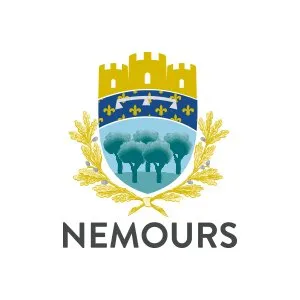 nemours.fr's icon