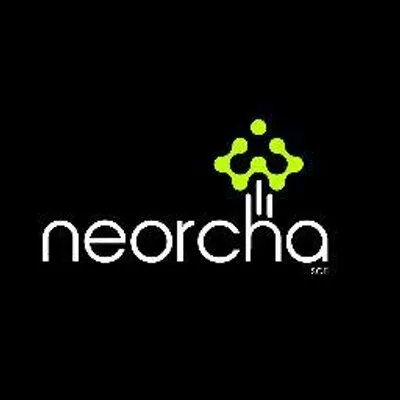 neorcha.com's icon