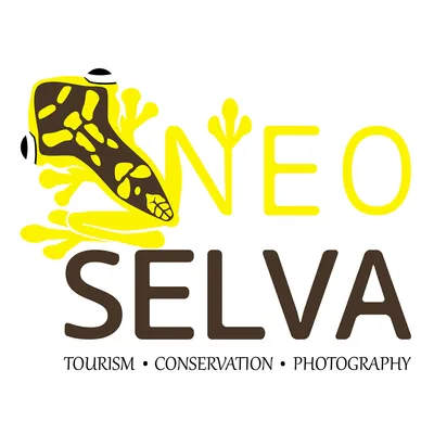 neoselva.com's icon