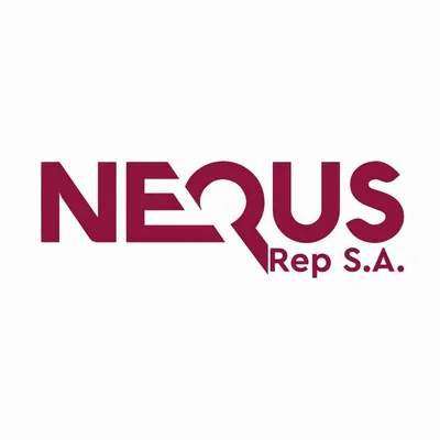 nequsrep.com's icon