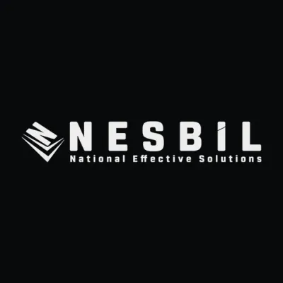 nesbildns.com's icon