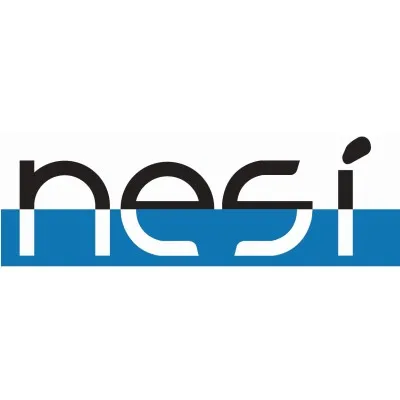NORAM Electrolysis Systems Inc.