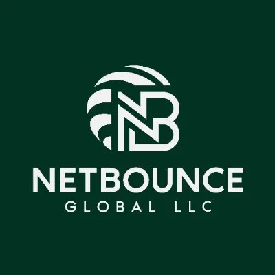 netbounceglobal.com's icon