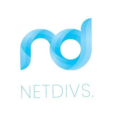 netdivs.com's icon