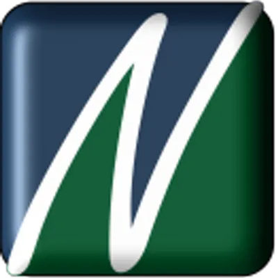neterix.com's icon